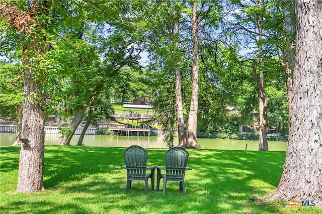 326 Riverview Rd, Mcqueeney, TX 78123 - view of green lawn featuring a water view