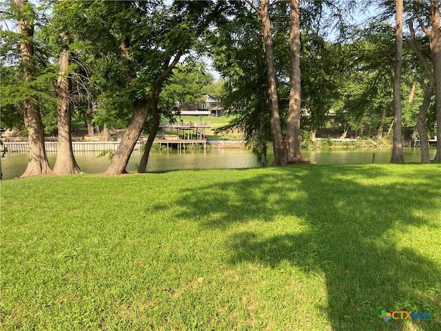 326 Riverview Rd, Mcqueeney, TX 78123 - view of green lawn