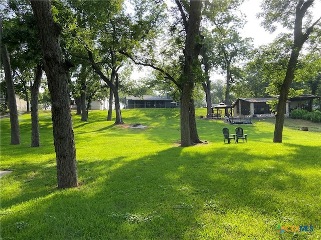 326 Riverview Rd, Mcqueeney, TX 78123 - view of property's community featuring a yard