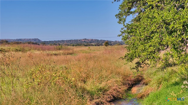 view of mountain feature