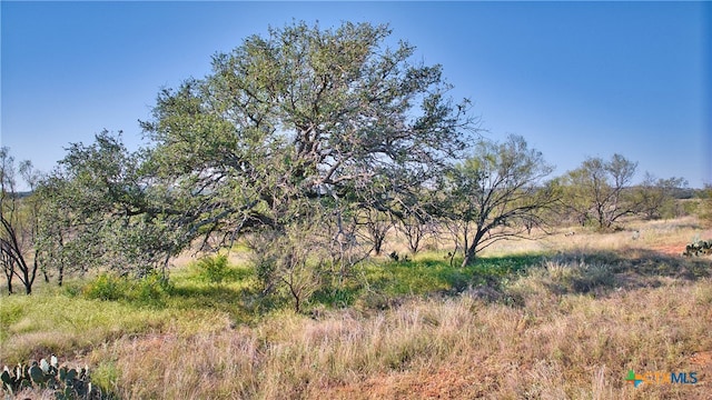 view of nature