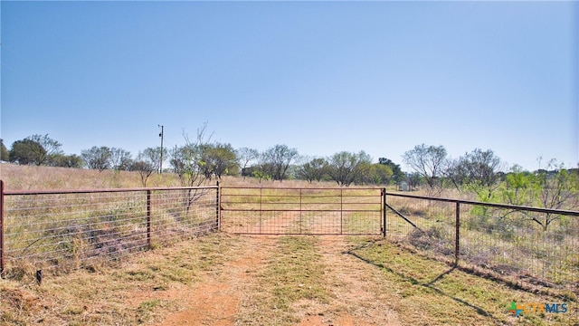 view of yard featuring a rural view