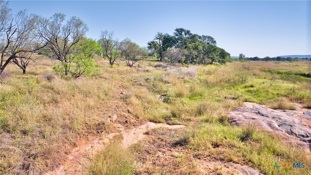 view of nature featuring a rural view