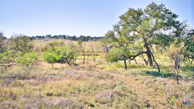 view of landscape with a rural view