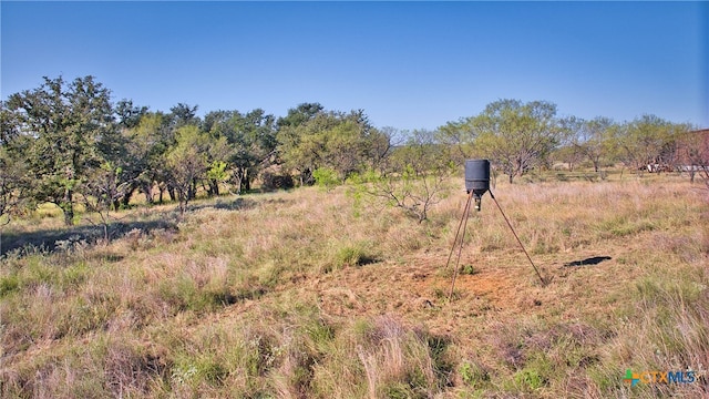 view of nature featuring a rural view