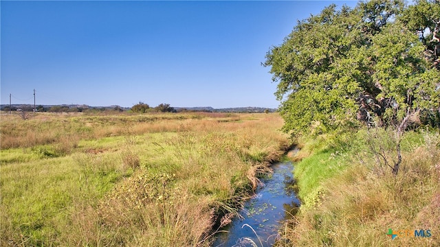 view of nature