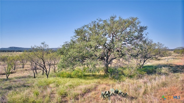 view of landscape featuring a rural view