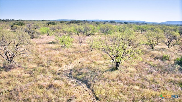 bird's eye view with a rural view