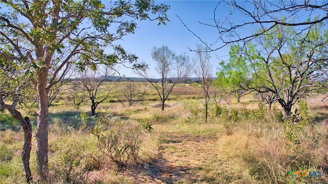 view of nature featuring a rural view