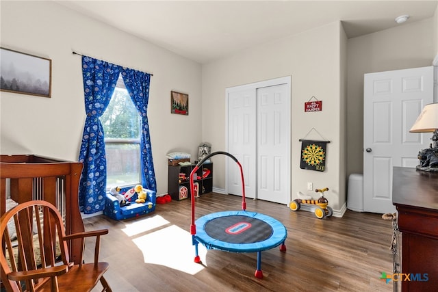 bedroom featuring hardwood / wood-style floors and a closet