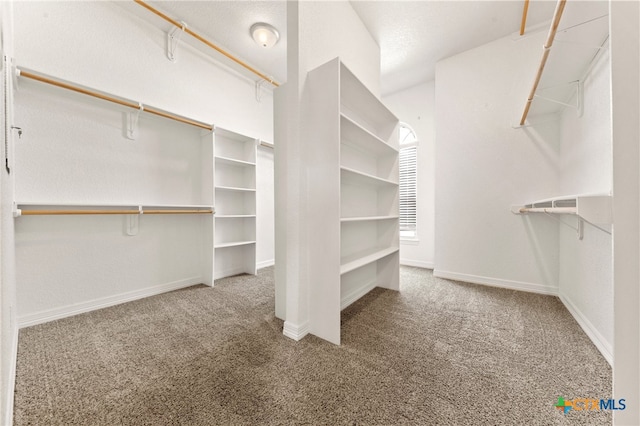 walk in closet with carpet