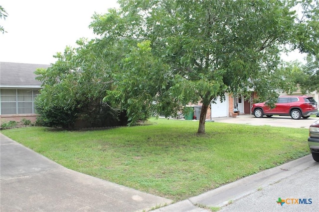 1610 Bexar Ave, Victoria, TX 77901 - view of green lawn