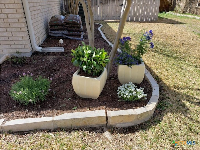 114 Quapaw Dr, Harker Heights, TX 76548 - view of yard