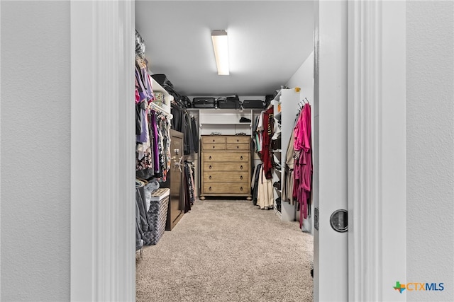 spacious closet with light carpet