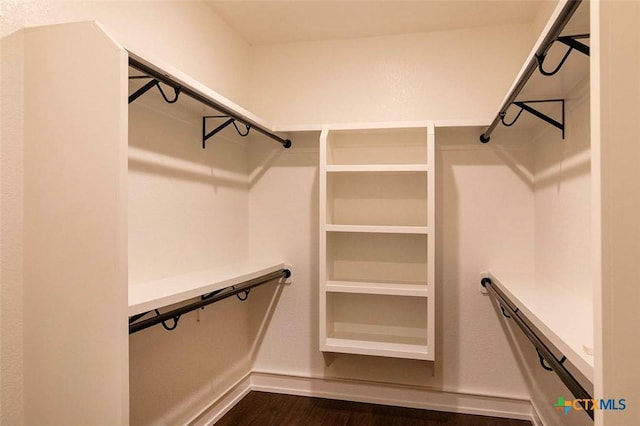 spacious closet featuring dark wood-type flooring