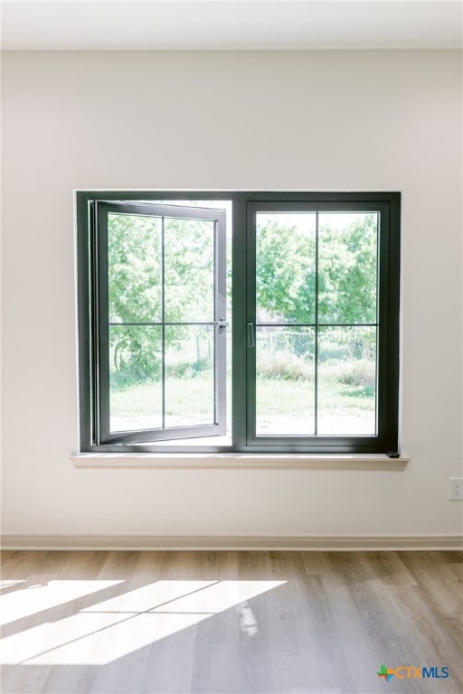 empty room featuring a wealth of natural light and light hardwood / wood-style floors