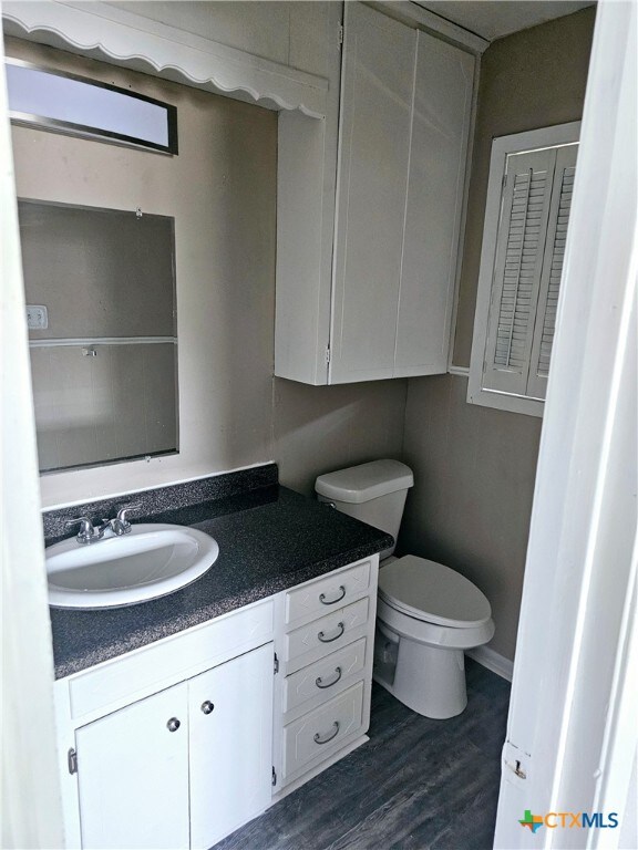 bathroom with toilet, vanity, and wood-type flooring