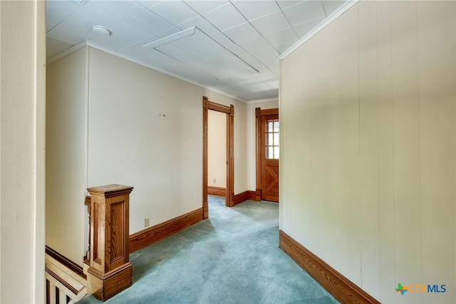 corridor with crown molding and carpet floors