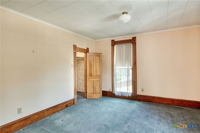 empty room featuring carpet flooring and crown molding