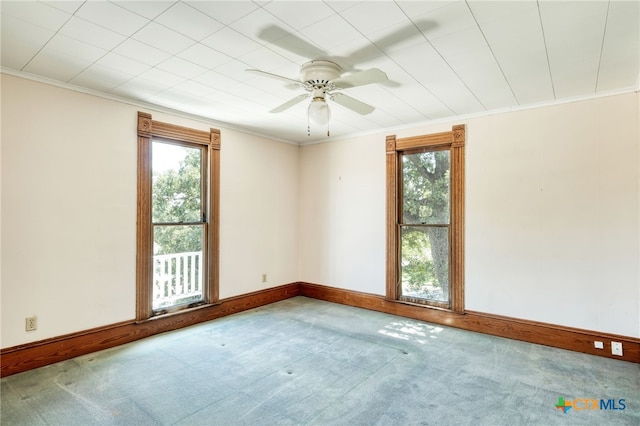 spare room with carpet flooring, ceiling fan, and crown molding