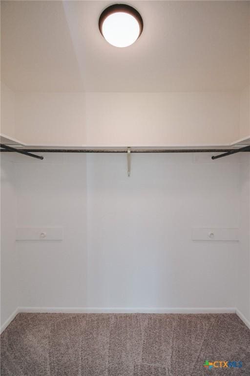505 Bramble Bush Ln, Victoria, TX 77904 - spacious closet with carpet