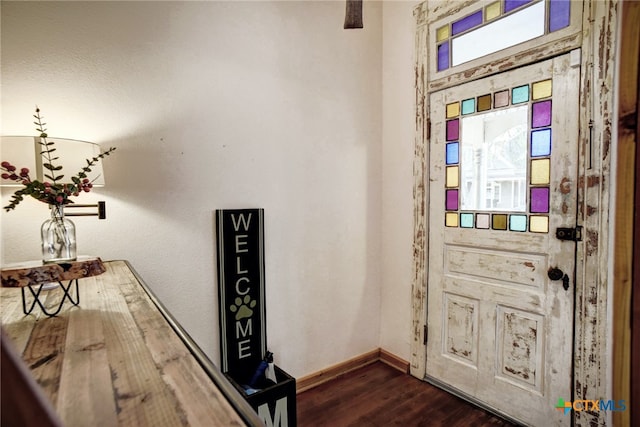 entrance foyer with dark hardwood / wood-style flooring