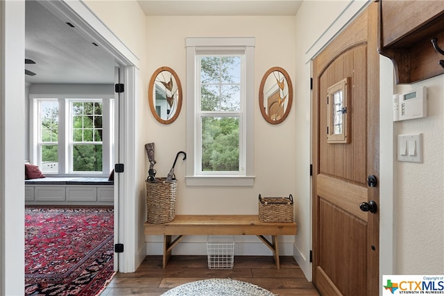 mudroom with dark wood-type flooring, a wealth of natural light, and ceiling fan