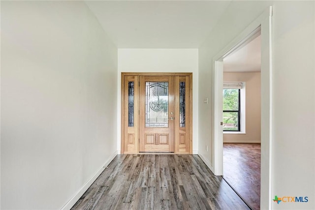 foyer entrance featuring wood-type flooring