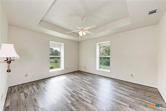 unfurnished room featuring a tray ceiling, hardwood / wood-style floors, and a wealth of natural light