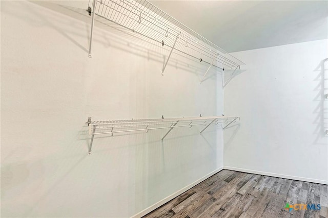 walk in closet featuring hardwood / wood-style flooring