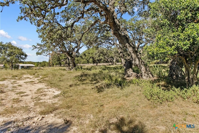 Listing photo 2 for 1316 Greenlawn Pkwy, Blanco TX 78606