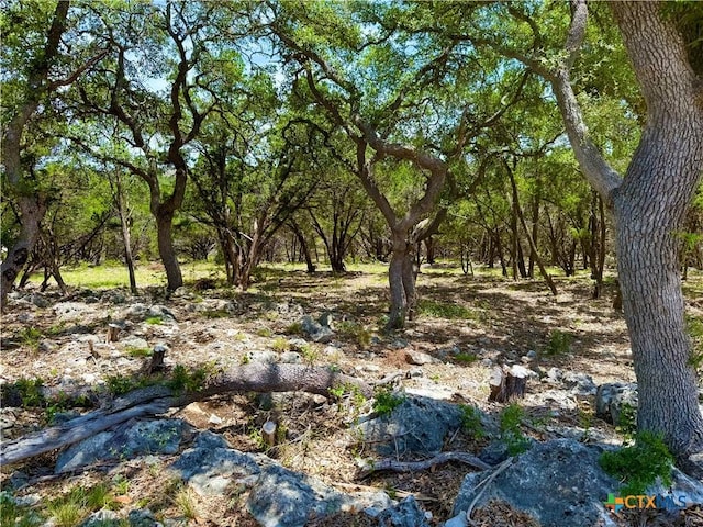 5663 Basilone Rdg, New Braunfels, TX 78132 - photo 4