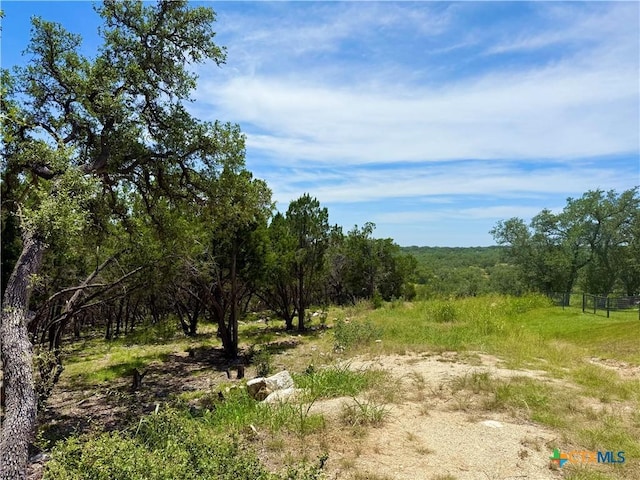 5663 Basilone Rdg, New Braunfels, TX 78132 - photo 3