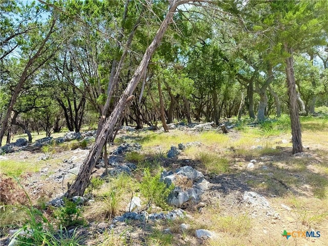 5663 Basilone Rdg, New Braunfels, TX 78132 - photo 6
