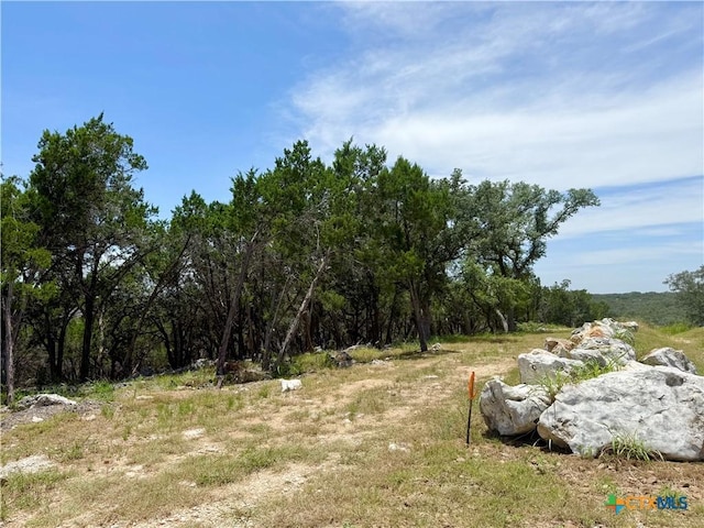 5663 Basilone Rdg, New Braunfels, TX 78132 - photo 5