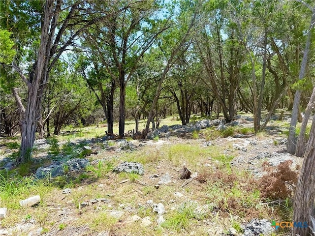 5663 Basilone Rdg, New Braunfels, TX 78132 - photo 1