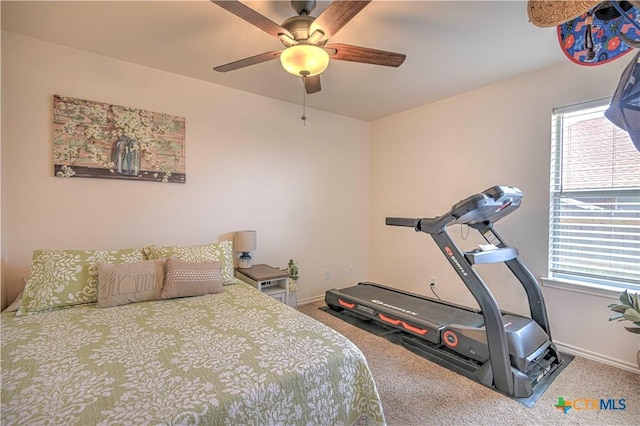 1521 Shadow Canyon Dr, Temple, TX 76502 - bedroom featuring carpet flooring, multiple windows, and a ceiling fan