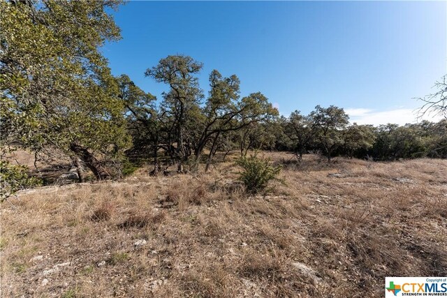 873 Annabelle Ave Ave, Bulverde, TX 78163