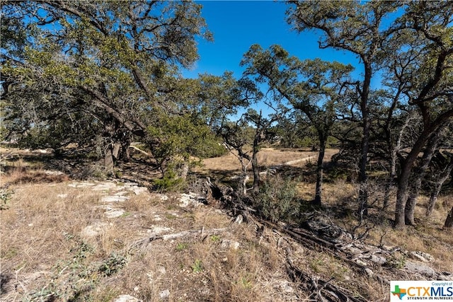 873 Annabelle Ave Ave, Bulverde, TX 78163