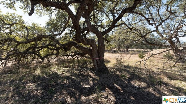 873 Annabelle Ave Ave, Bulverde, TX 78163