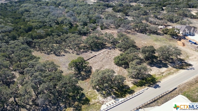 873 Annabelle Ave Ave, Bulverde, TX 78163