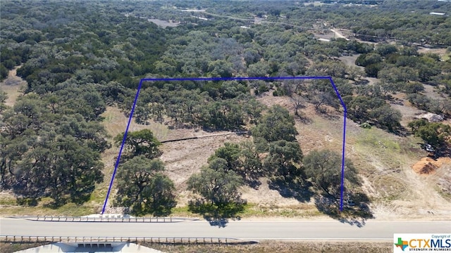 873 Annabelle Ave Ave, Bulverde, TX 78163