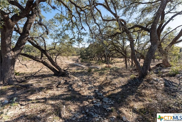 873 Annabelle Ave Ave, Bulverde, TX 78163