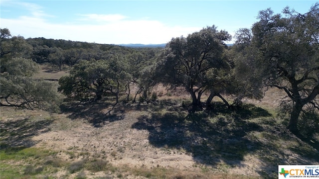 873 Annabelle Ave Ave, Bulverde, TX 78163