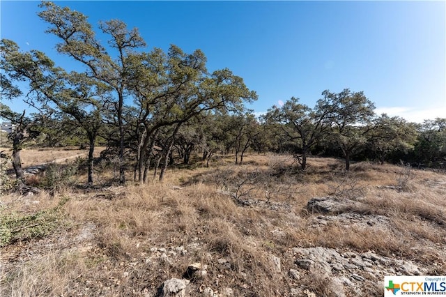 873 Annabelle Ave Ave, Bulverde, TX 78163
