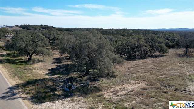 873 Annabelle Ave Ave, Bulverde, TX 78163