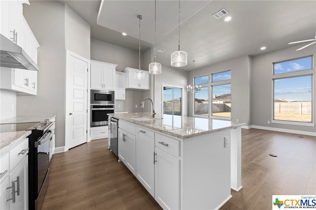 kitchen with stainless steel appliances, white cabinetry, dark hardwood / wood-style floors, sink, and an island with sink