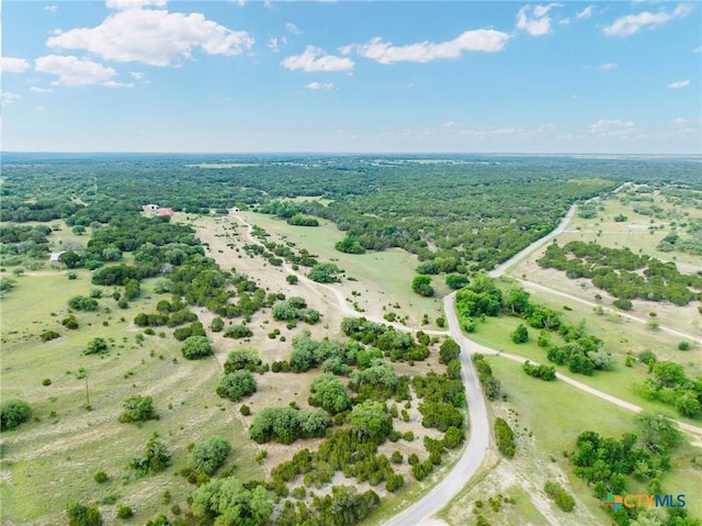 1435 County Road 220, Killeen, TX 76549 - photo 6