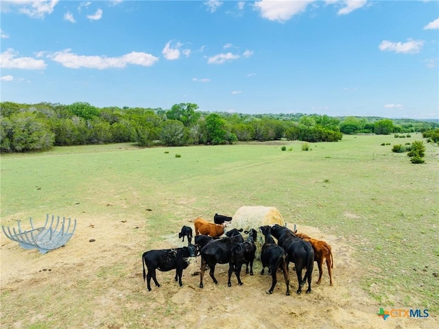 1435 County Road 220, Killeen, TX 76549 - photo 42
