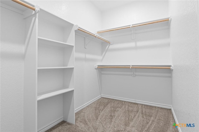 walk in closet with light carpet